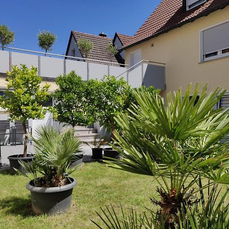 Haus Zum Schlosspark Veitshöchheim Екстериор снимка
